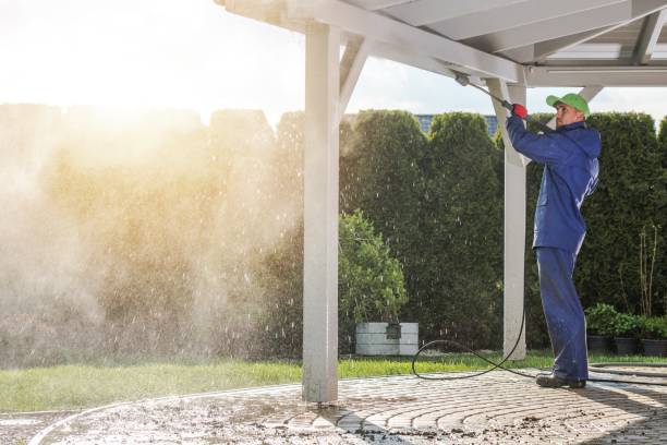Best Solar Panel Cleaning  in Sto Brook, NY